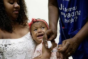 接種疫苗可有效預防感染黃熱病。（資料圖：路透社）