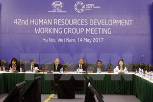 人力資源發展工作小組(HRDWG) 全體會議。（圖源：文疊/越通社）