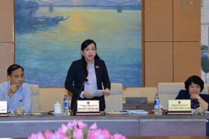 民願委員會主任阮青海在會議上發表意見。（圖源：Q.H）