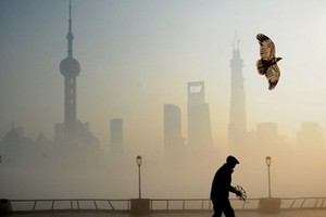 示意圖。（圖源：互聯網）