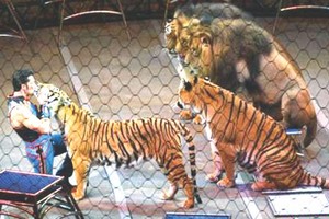 （資料圖來源：互聯網）