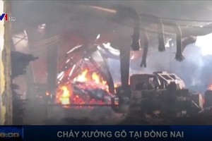 （資料圖來源：VTV1視頻截圖）