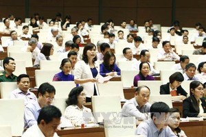 北寧省國會代表陳氏姮在會議上發表意見。（圖源：越通社）