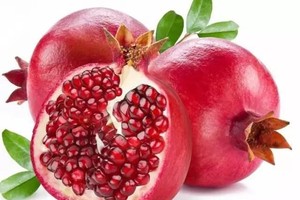 示意圖。（圖片來源：互聯網）