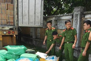 （資料圖來源：互聯網）