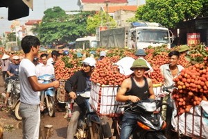 （資料圖來源：光世）