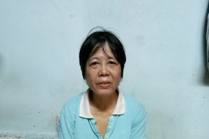 陳美鳳求助醫藥費。