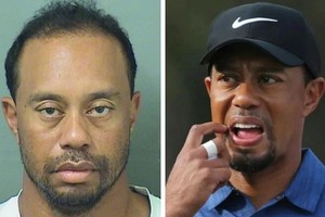 （資料圖來源：互聯網）