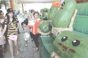 南部水果節展出的“奇瓜異果”。(圖源：互聯網)