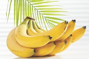 示意圖。（圖片來源：互聯網）