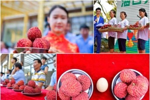 （資料圖來源：互聯網）