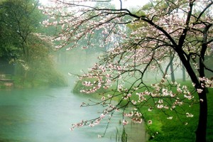 示意圖。（圖片來源：互聯網）