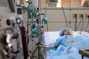 （資料圖來源：互聯網）