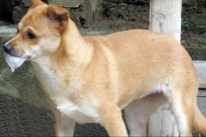 示意圖。（圖片來源：互聯網）