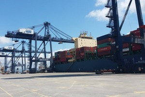 圖為丐麟碼頭卸船機在從 Huyndai Premium 大型貨船上卸貨。（圖源：德孝）