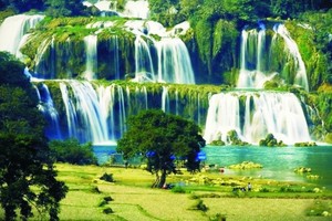 （資料圖來源：互聯網）