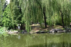 示意圖。（圖片來源：互聯網）