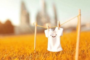 （示意圖來源：互聯網）