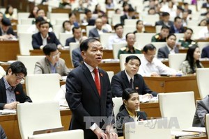 圖為金甌省國會代表黎青雲向農業與農村發展部部長提出質詢。（資料圖：越通社）