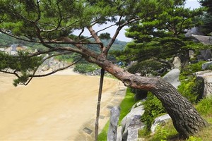 示意圖。（圖源：互聯網）