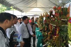 民眾在參觀集市。(圖源：互聯網)