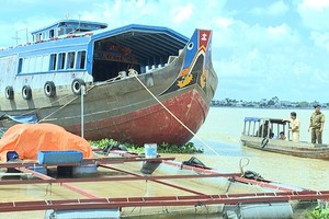 （資料圖源：互聯網）