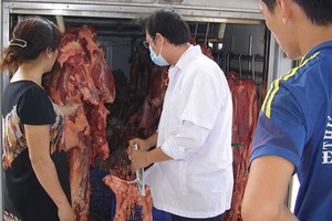 自本月15日起，市食品安全管委會將負責簽發檢疫證書行政手續。（示意圖源：陳玉）