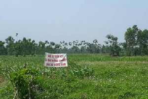 圖為河內市美德縣同心鄉的土地一隅，引起社會關注的土地糾紛案。（圖源：互聯網）