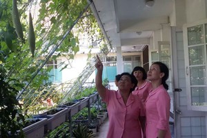 第五郡婦女會成員在觀看準備收成的小菜園。