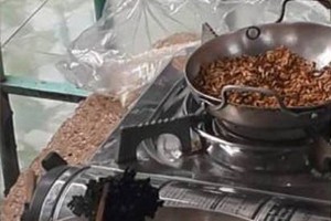 （資料圖來源：互聯網）