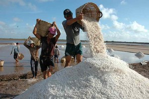 鹽民在收穫食鹽。（示意圖源：互聯網）