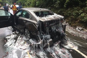 車禍中遭殃的轎車上全是鰻魚。（圖源：互聯網）
