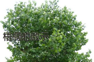 示意圖。（圖片來源：互聯網）