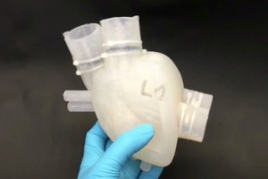 （資料圖源：互聯網）