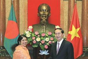 （資料圖源：VOV）