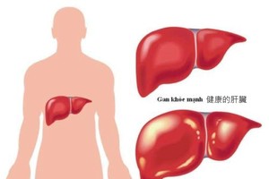 （示意圖源：互聯網）