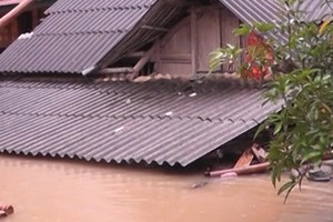 陸安縣崽河有許多住房被水淹到屋頂。（圖源：互聯網）