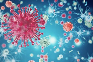 HIV病毒。（示意圖源：互聯網）