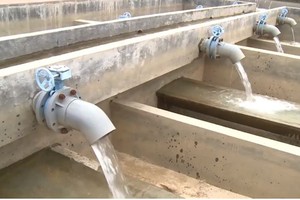 據市衛生防疫中心所公佈的6月份水質檢驗報告，自來水、井水仍未達標。（示意圖源：互聯網）