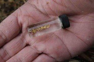 美加州暴雨山丘衝出黃金，走路都能撿到小指大金塊。 （圖源：互聯網）