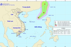 東海熱帶低氣壓的演變及其動態。（圖源：中央水文氣象預報中心）