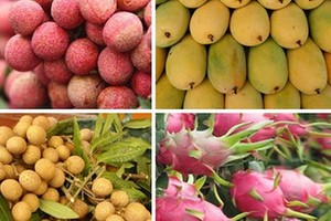 全國今年前7個月的農林水產出口金額達204億5000萬美元，同比增14.7%。(示意圖源：互聯網)