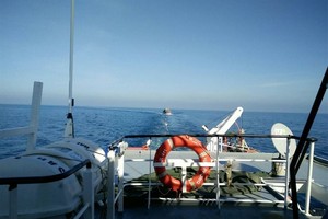 圖為SAR 411救護船拖帶遇險的編號NA93362TS漁船及17名船員安全送抵乂安省爐門港口。