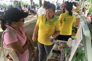 （資料圖源：互聯網）