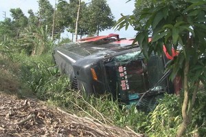 （資料圖源：V.Vân）