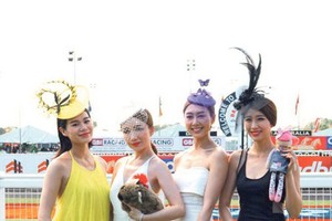 （資料圖源：互聯網）