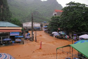 諒山省洪澇損失逾 80 億元。（趙王）