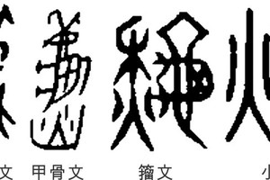 字形演變。（圖源：互聯網）