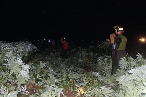 圖為木薯園裡的案發現場。（圖源：福俊）