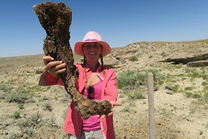 （資料圖源：互聯網）